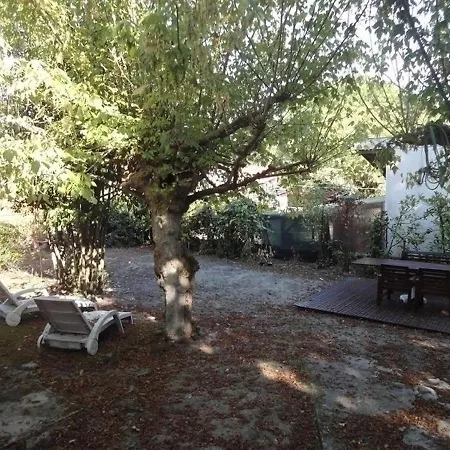 House Moulleau - Proche De La Plage Et Des Commerces Du Quartier - Petite Maison Holiday home